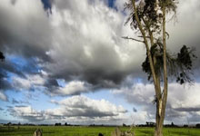 天涯论坛也可以云就业了？死守'铁饭碗'还是加入天涯职场社区的自由人？